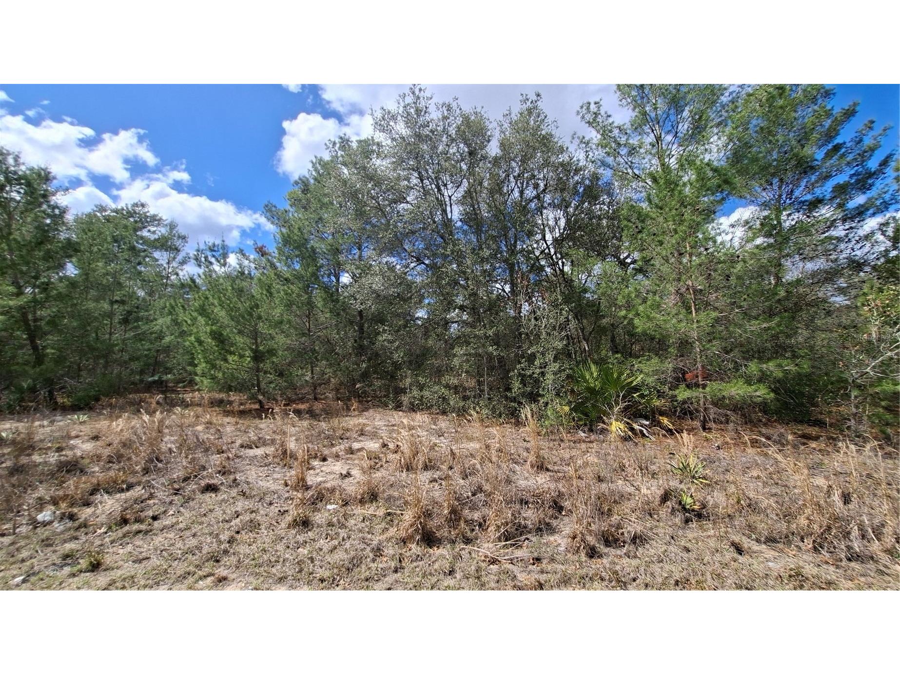 Fisher Run Ocklawaha FL 32183 GC538241 image3