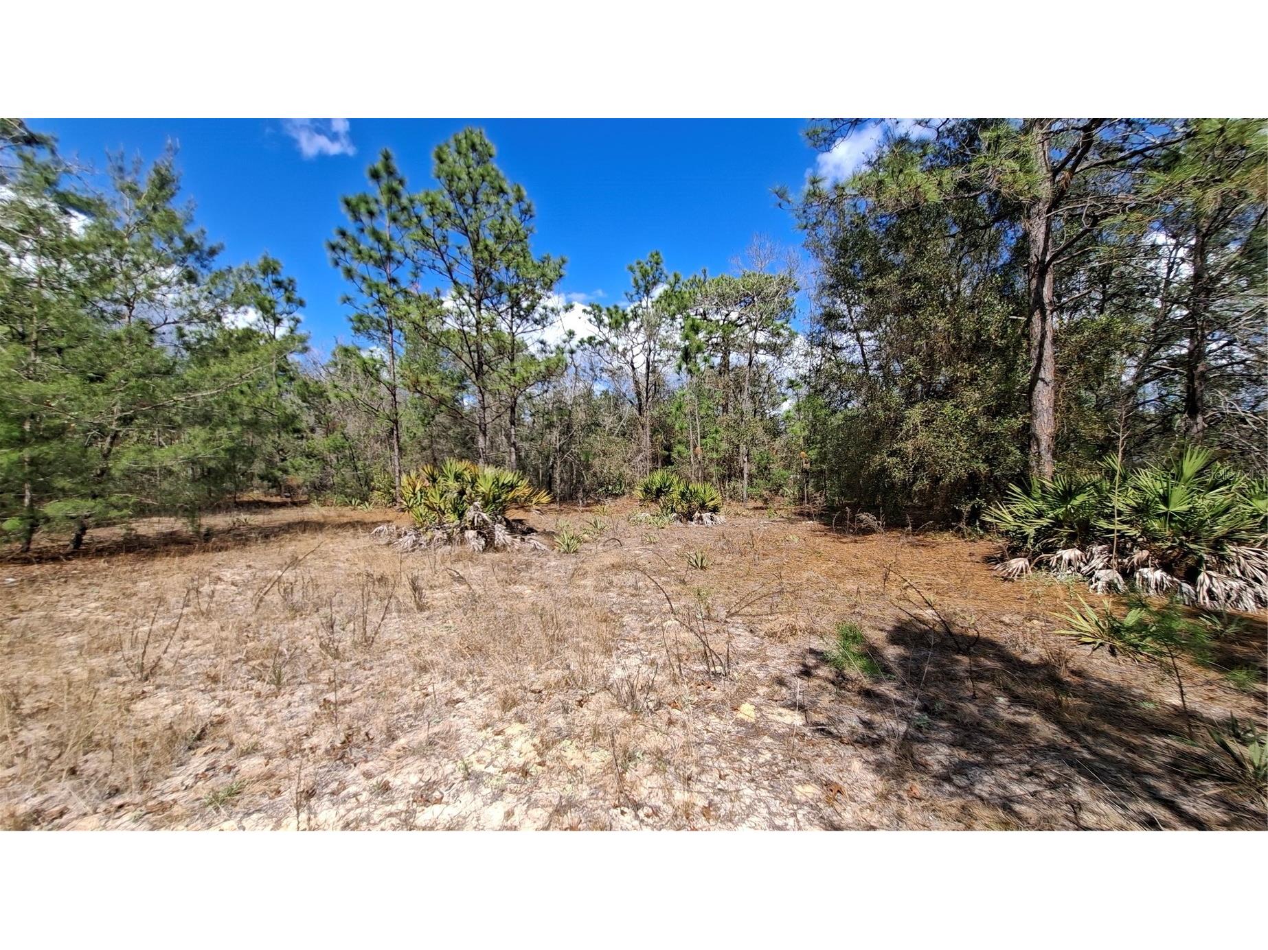 Fisher Run Ocklawaha FL 32183 GC538241 image5
