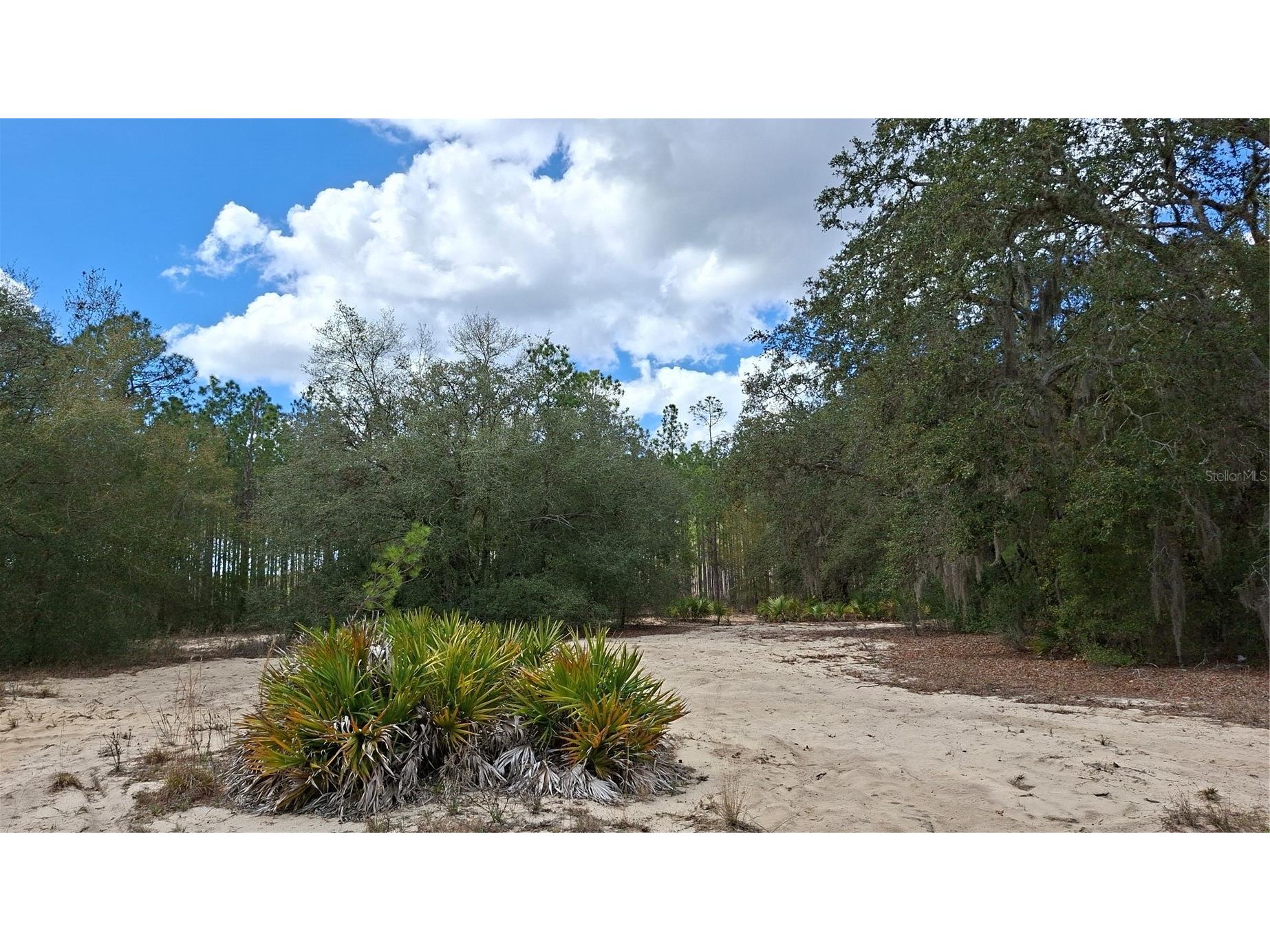 Fisher Run Ocklawaha FL 32183 GC538241 image7