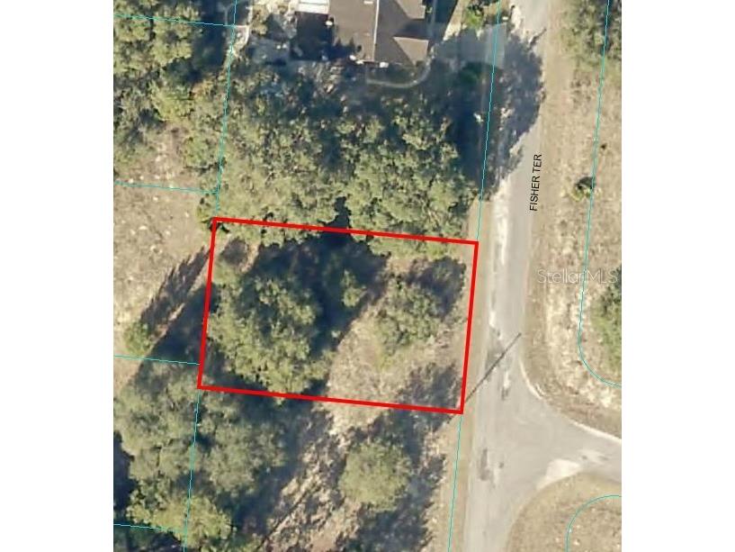 Fisher Terr Ocklawaha FL 32179 OM664637 image1