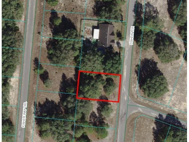 Fisher Terr Ocklawaha FL 32179 OM673546 image1