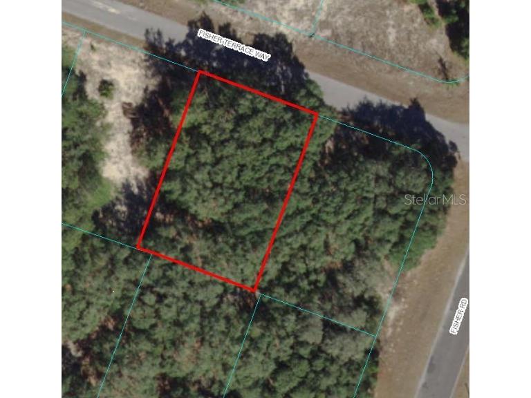 Fisher Terr Way Ocklawaha FL 32179 OM670406 image1