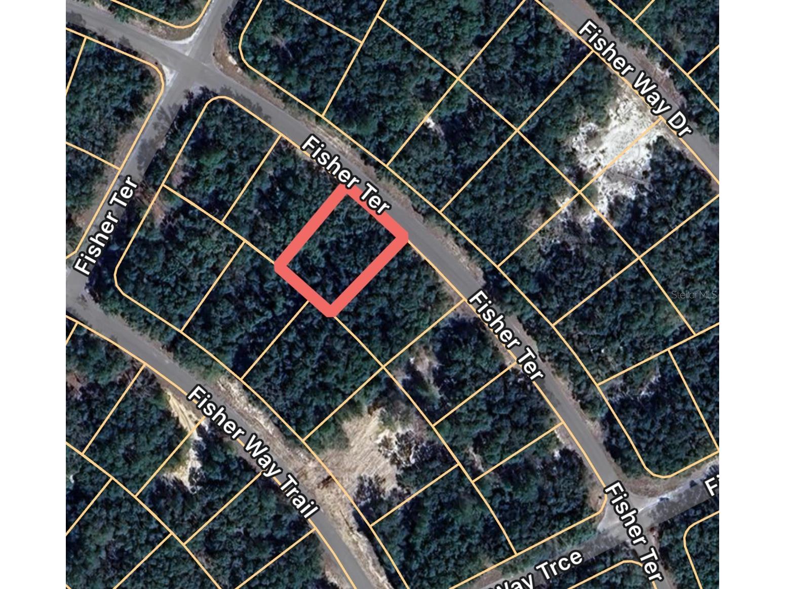 Fisher Terrace #8 Ocklawaha FL 32179 OM711333 image2