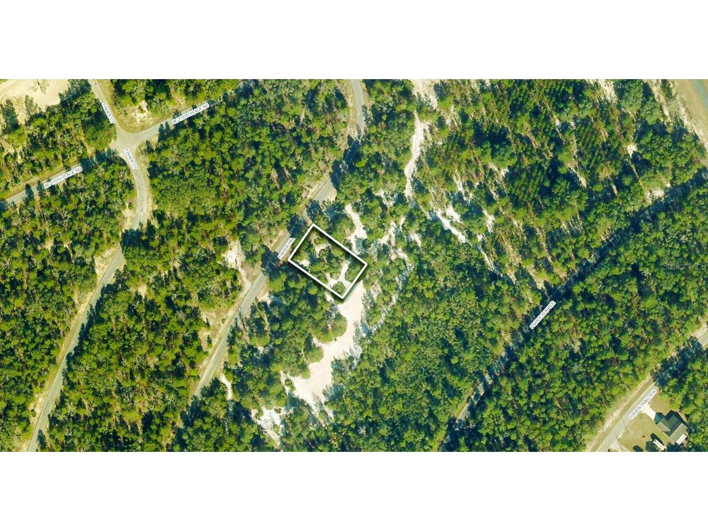 Fisher Trail Ocklawaha FL 32179 OM656856 image1