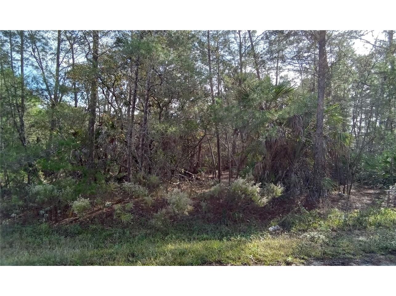 Fisher Trail Terrace Ocklawaha FL 32179 OM672332 image1