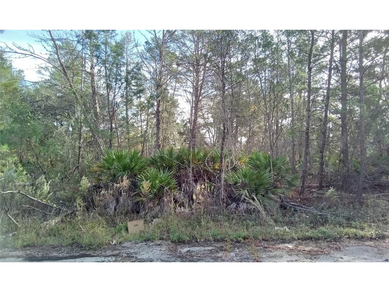 Fisher Trail Terrace Ocklawaha FL 32179 OM672333 image1