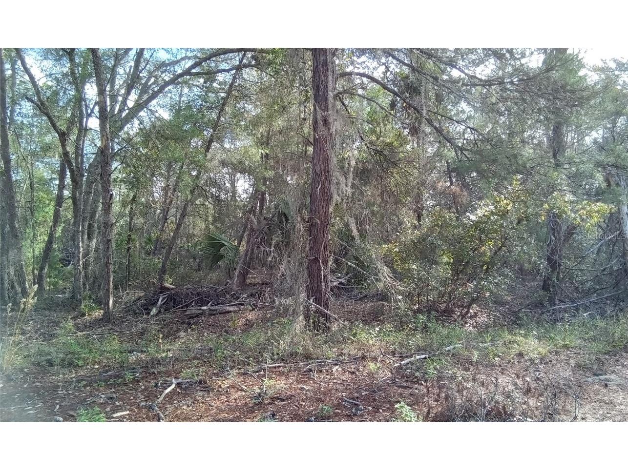 Fisher Trail Terrace Ocklawaha FL 32179 OM674163 image1