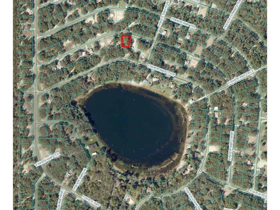 Fisher Way Course Ocklawaha FL 32179 OM693044 image2