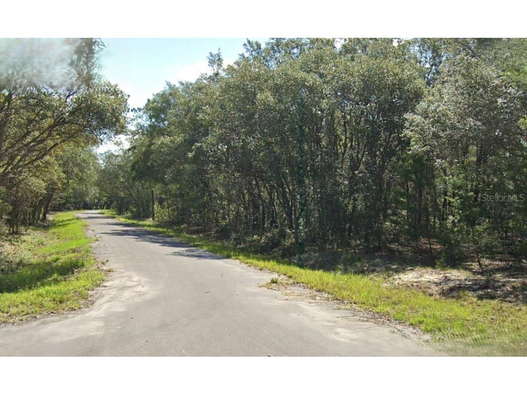 Fisher Way Drive Ocklawaha FL 32179 O6264060 image1