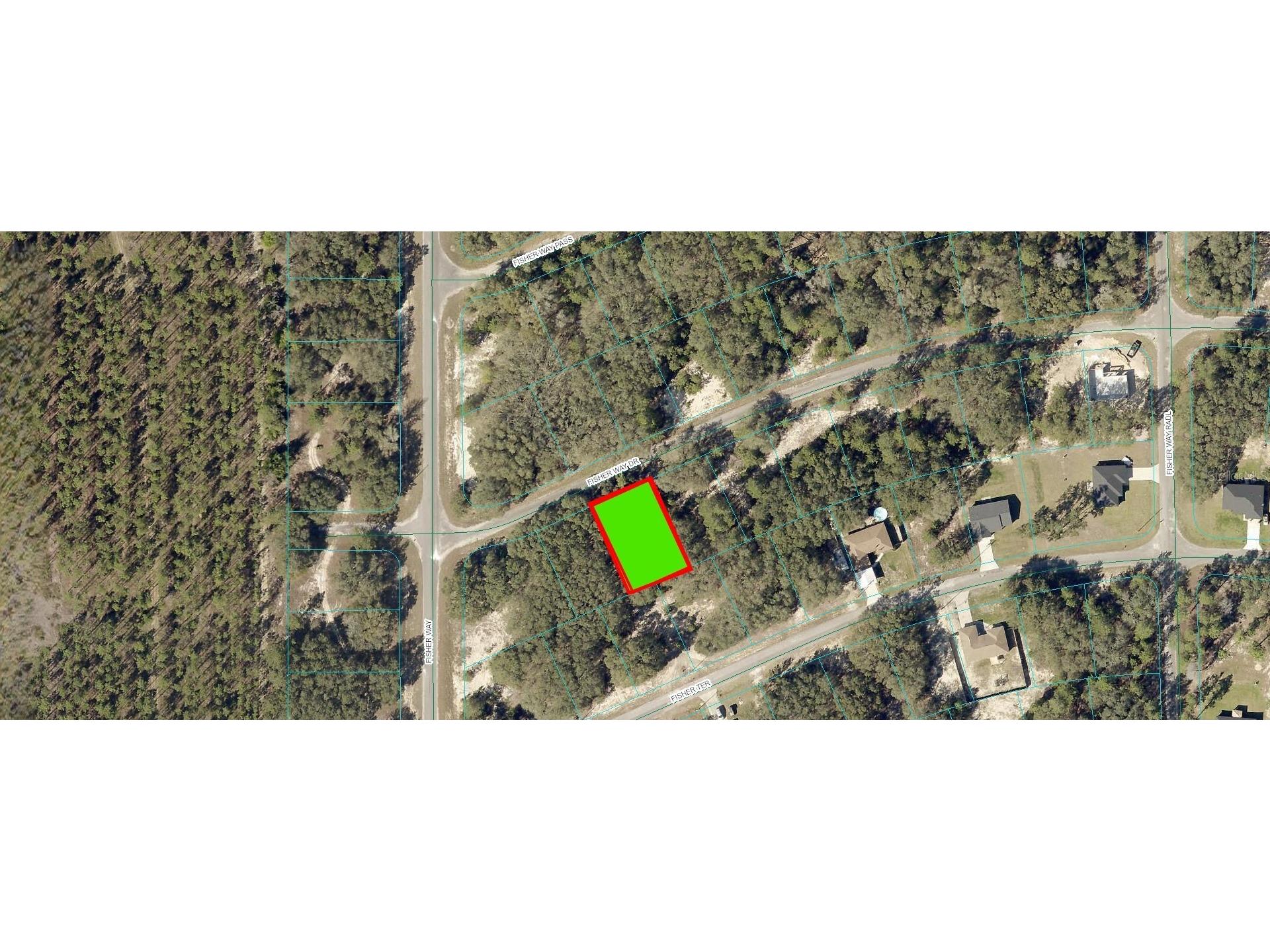 Fisher Way Drive Ocklawaha FL 32179 O6264060 image2