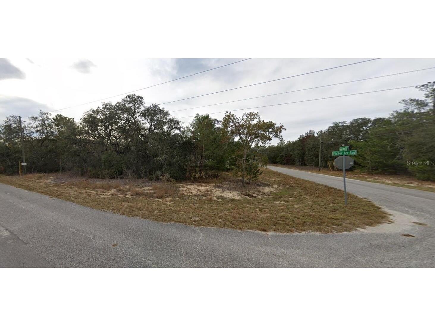Fisher Way Drive Ocklawaha FL 32179 O6383963 image3
