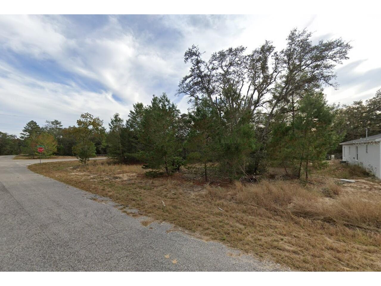 Fisher Way Drive Ocklawaha FL 32179 O6383963 image4