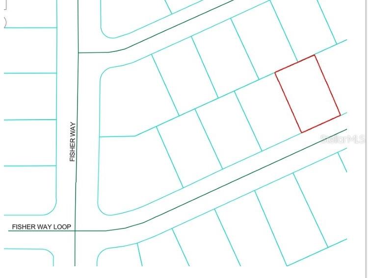 Fisher Way Loop Ocklawaha FL 32179 OM707952 image1