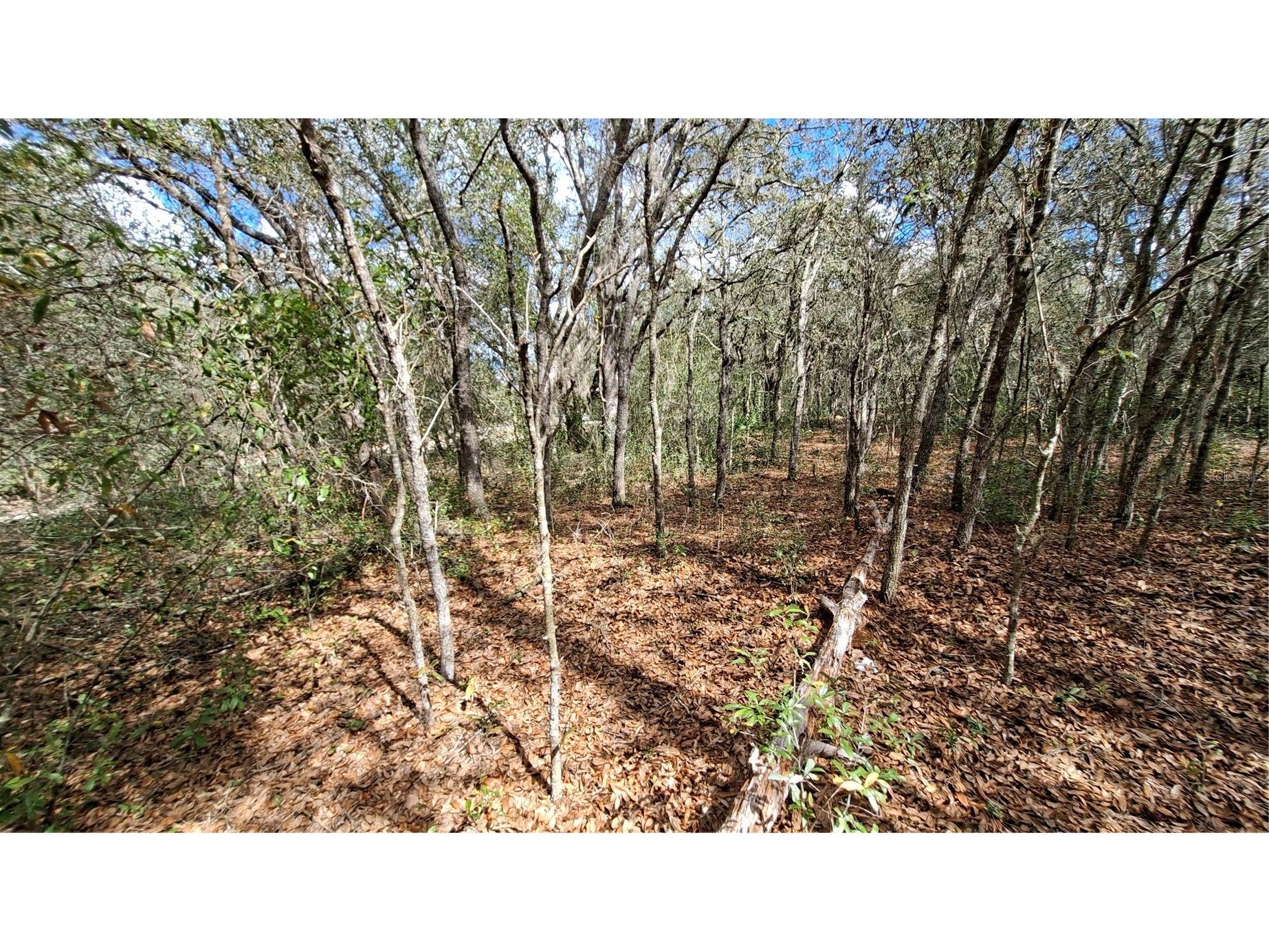 Fisher Way Ocklawaha FL 32179 GC538245 image3