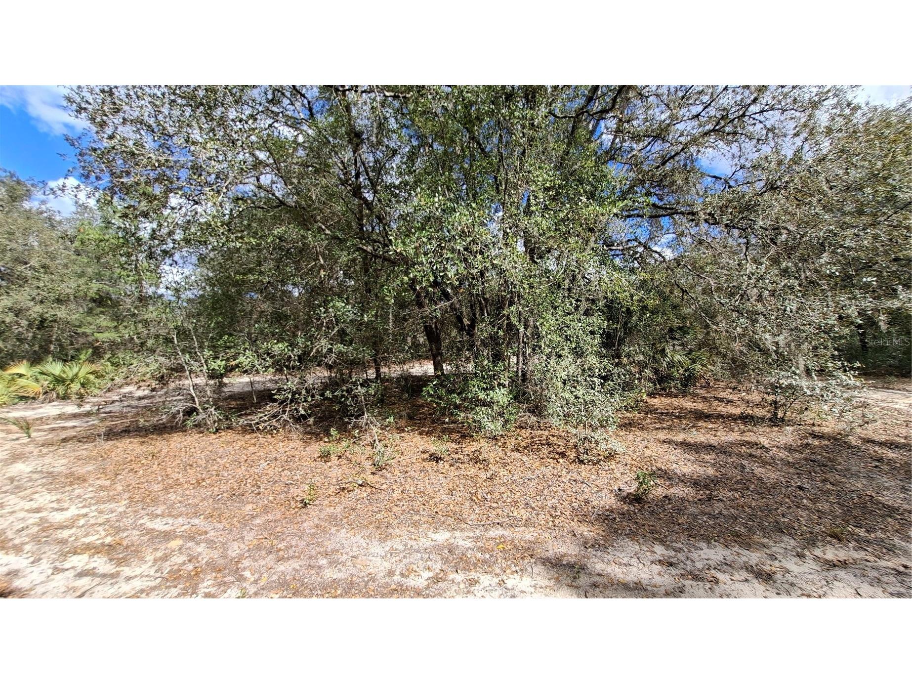 Fisher Way Ocklawaha FL 32179 GC538245 image4