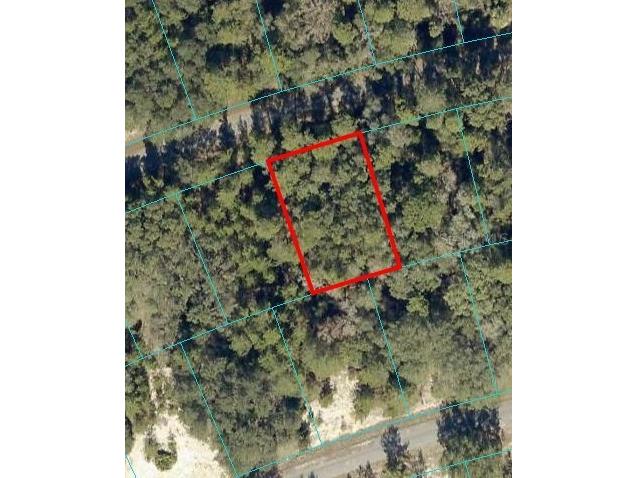 Fisher Way Pass Ocklawaha FL 32179 OM663090 image1