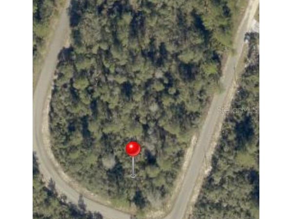 Fisher Way Track Ocklawaha FL 32179 A4688077 image1