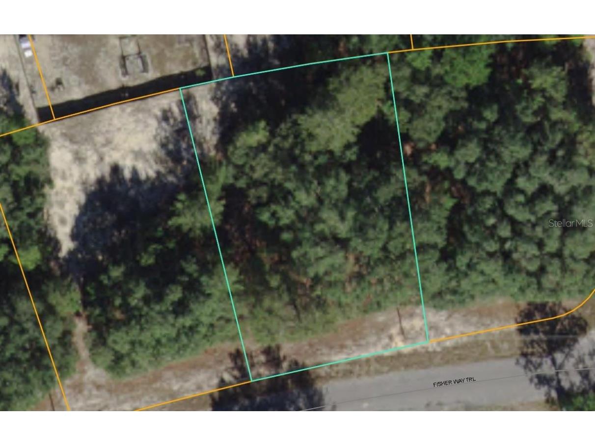 Fisher Way Trail Ocklawaha FL 32179 G5085326 image1