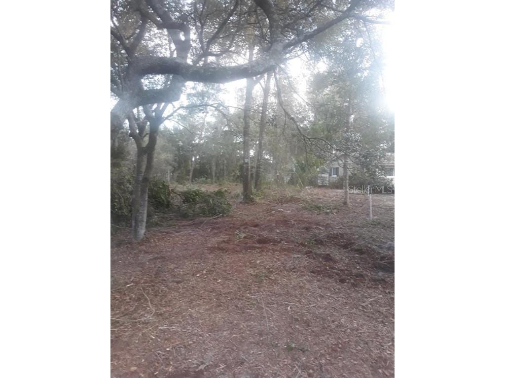 Fishermans Road Paisley FL 32767 V4928110 image1