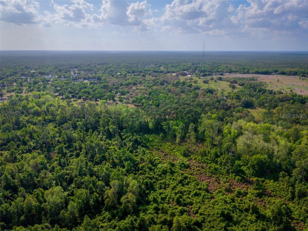 Fishermans Road Paisley FL 32767 - LAKE LULU AND LAKE AKRON O6297079 image10