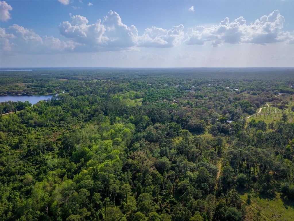 Fishermans Road Paisley FL 32767 - LAKE LULU AND LAKE AKRON O6297079 image11