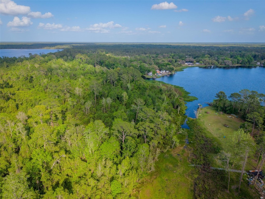 Fishermans Road Paisley FL 32767 - LAKE LULU AND LAKE AKRON O6297079 image2