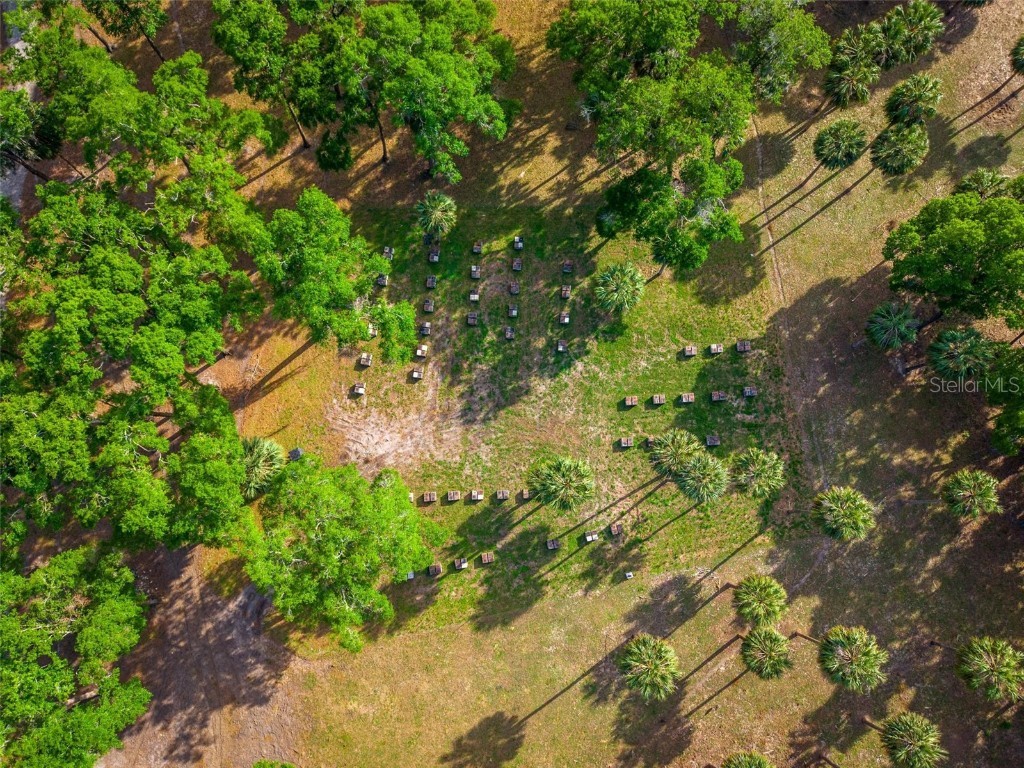 Fishermans Road Paisley FL 32767 - LAKE LULU AND LAKE AKRON O6297079 image20