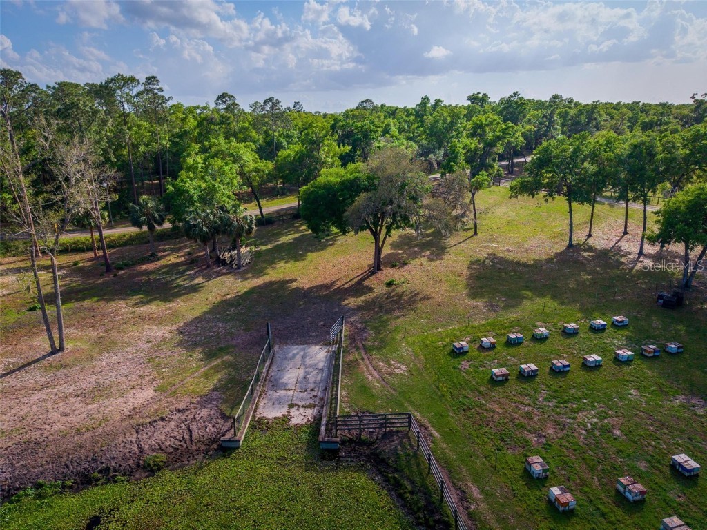 Fishermans Road Paisley FL 32767 - LAKE LULU AND LAKE AKRON O6297079 image25