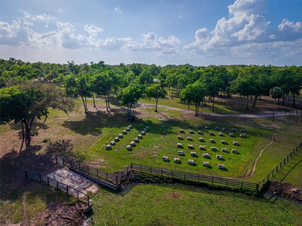 Fishermans Road Paisley FL 32767 - LAKE LULU AND LAKE AKRON O6297079 image26