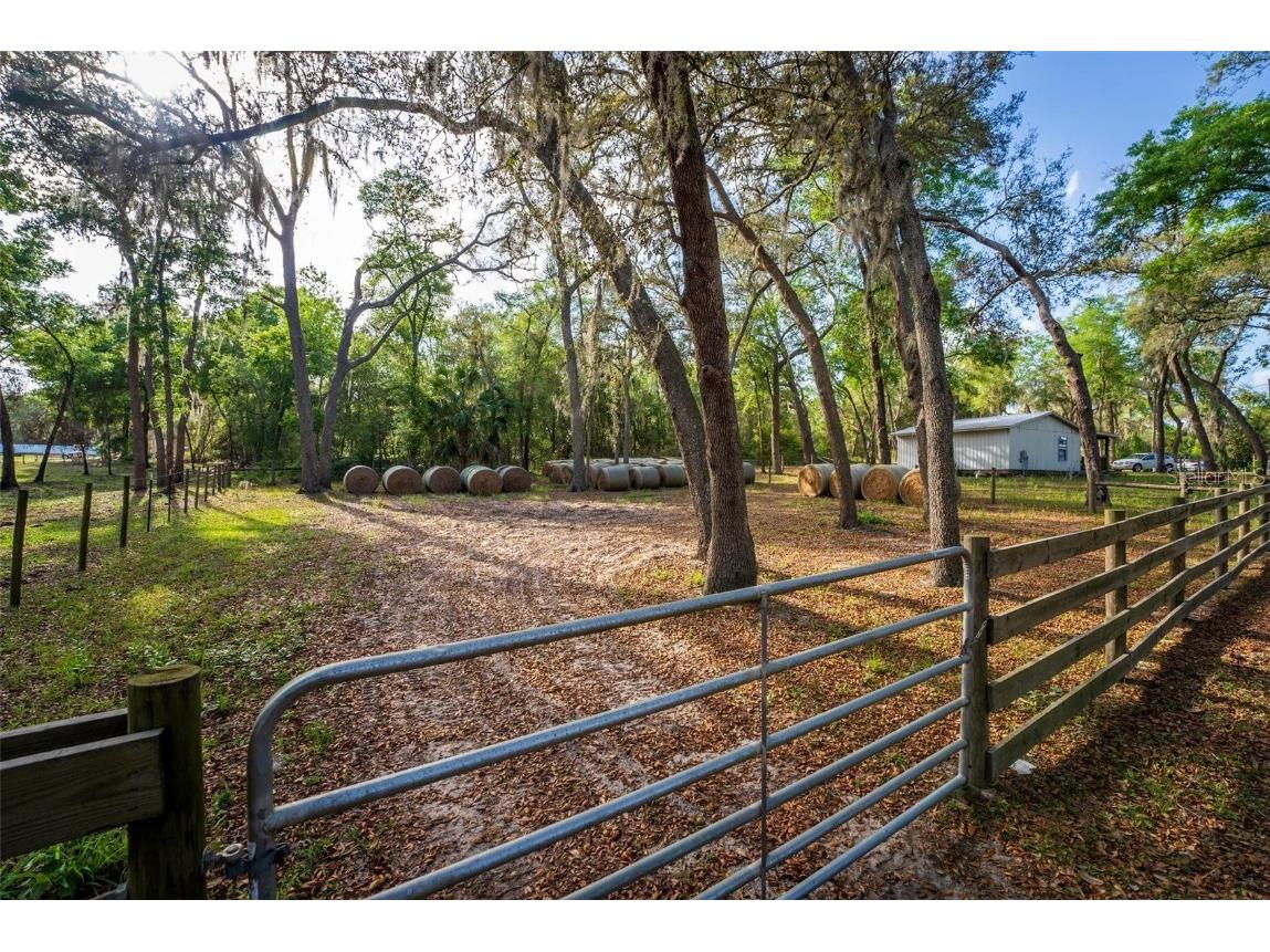 Fishermans Road Paisley FL 32767 - LAKE LULU AND LAKE AKRON O6297079 image34