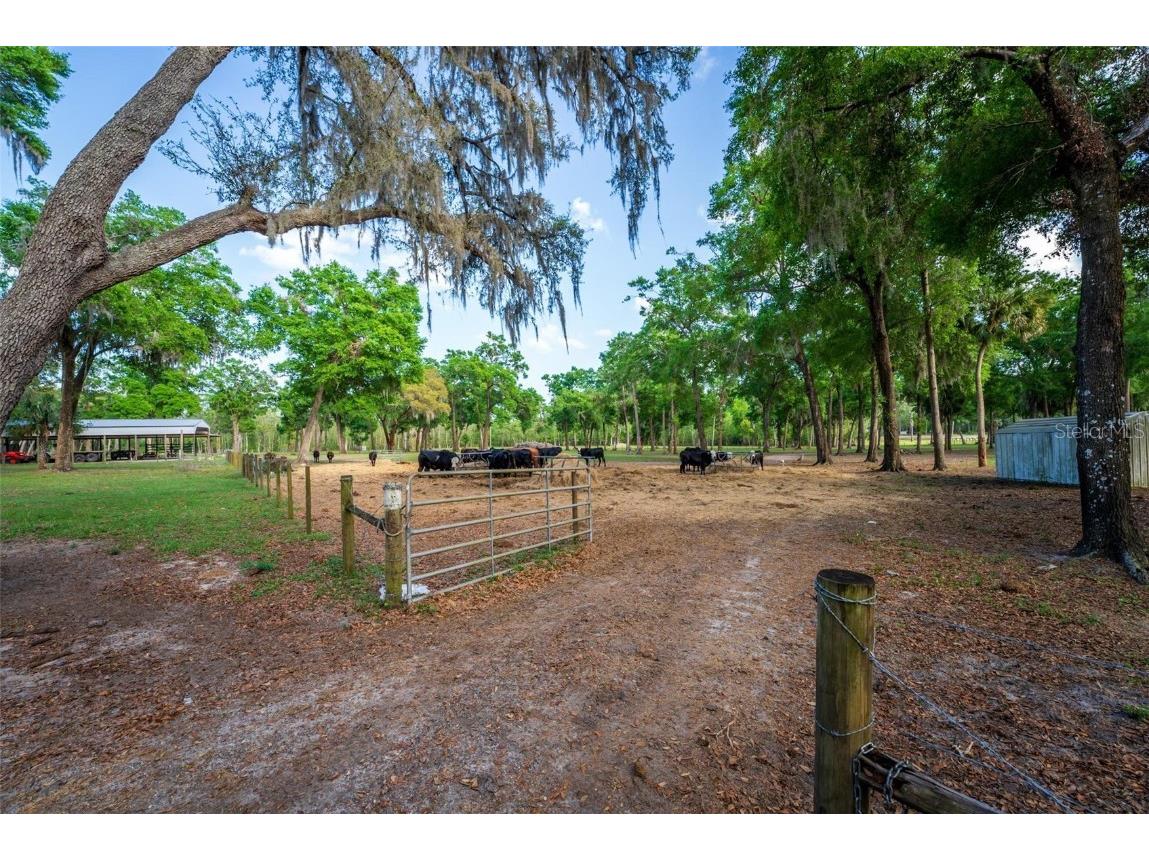 Fishermans Road Paisley FL 32767 - LAKE LULU AND LAKE AKRON O6297079 image35