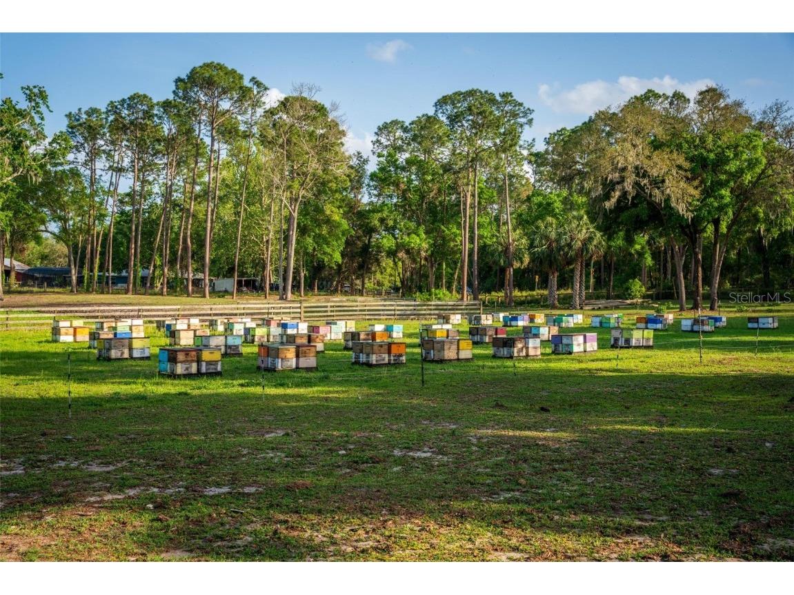 Fishermans Road Paisley FL 32767 - LAKE LULU AND LAKE AKRON O6297079 image59