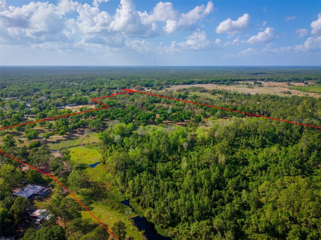 Fishermans Road Paisley FL 32767 - LAKE LULU AND LAKE AKRON O6297079 image6