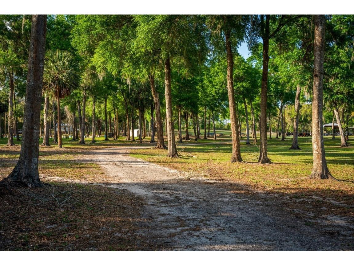 Fishermans Road Paisley FL 32767 - LAKE LULU AND LAKE AKRON O6297079 image60