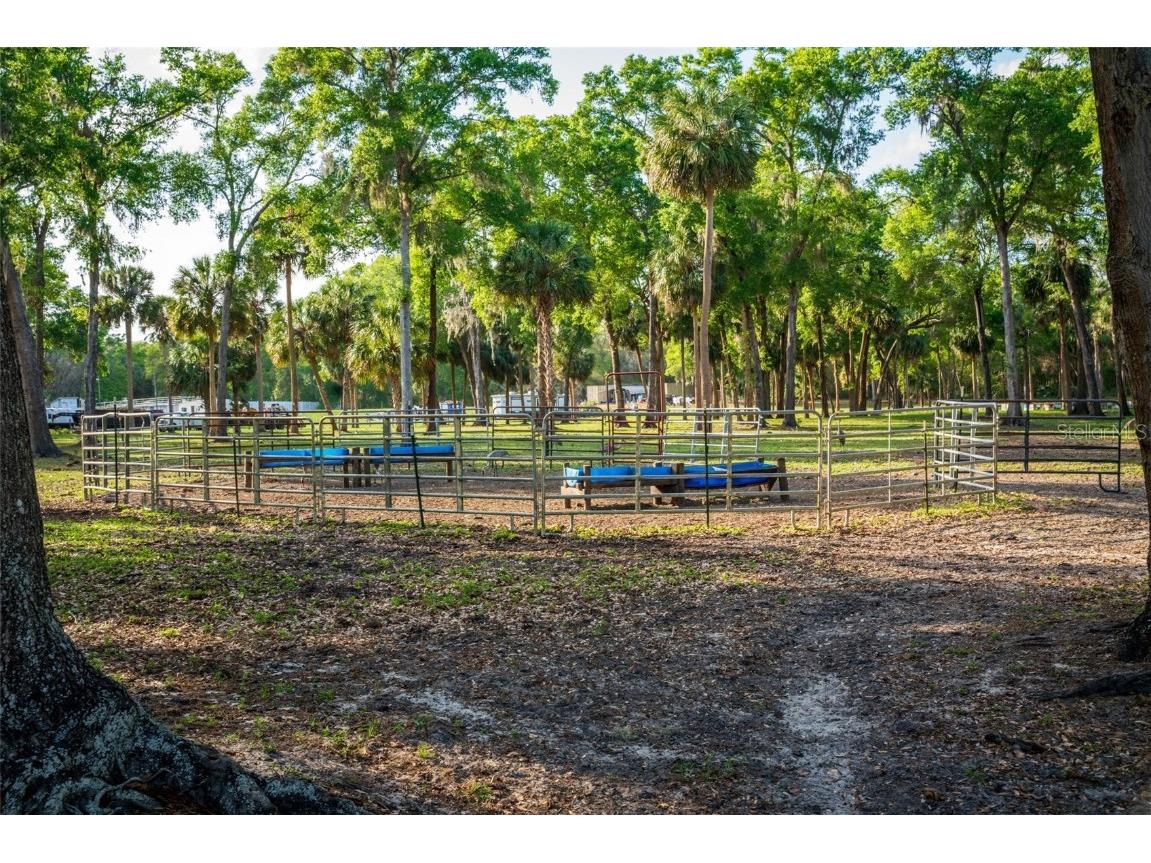 Fishermans Road Paisley FL 32767 - LAKE LULU AND LAKE AKRON O6297079 image61