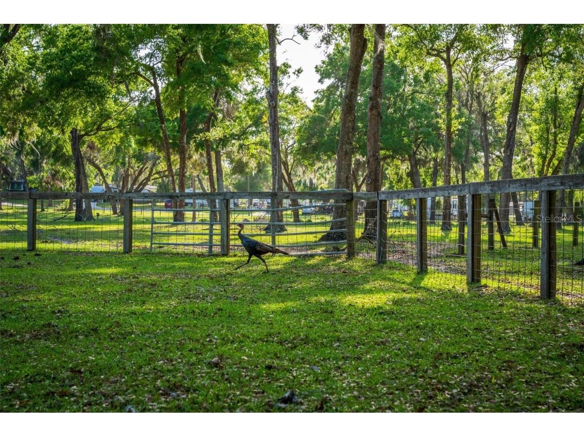 Fishermans Road Paisley FL 32767 - LAKE LULU AND LAKE AKRON O6297079 image62