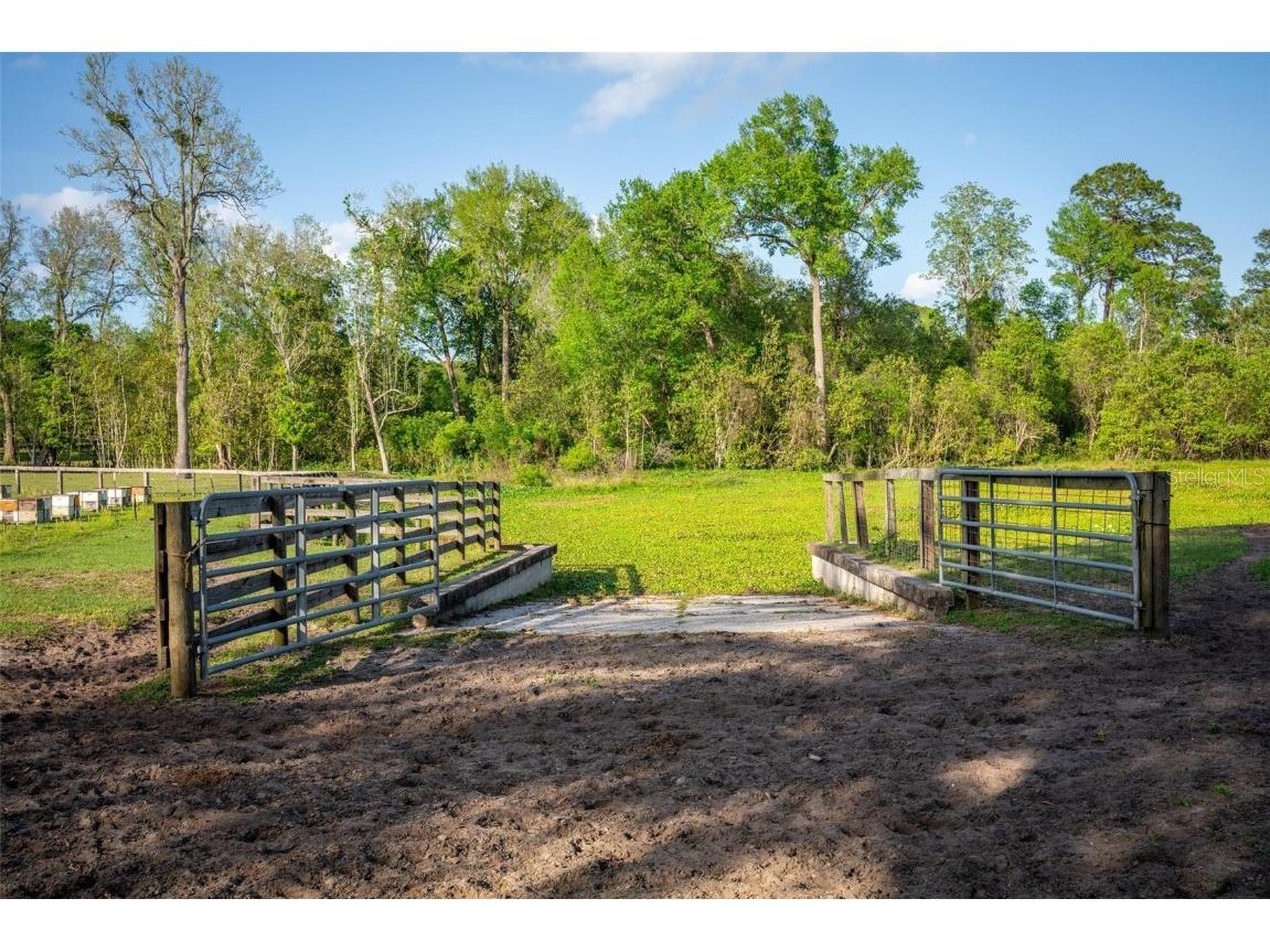 Fishermans Road Paisley FL 32767 - LAKE LULU AND LAKE AKRON O6297079 image64