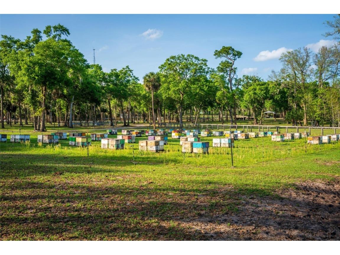 Fishermans Road Paisley FL 32767 - LAKE LULU AND LAKE AKRON O6297079 image65