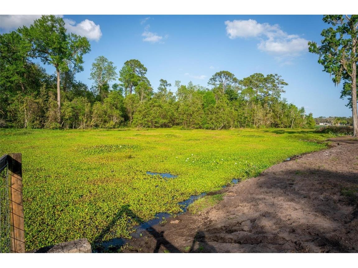 Fishermans Road Paisley FL 32767 - LAKE LULU AND LAKE AKRON O6297079 image66