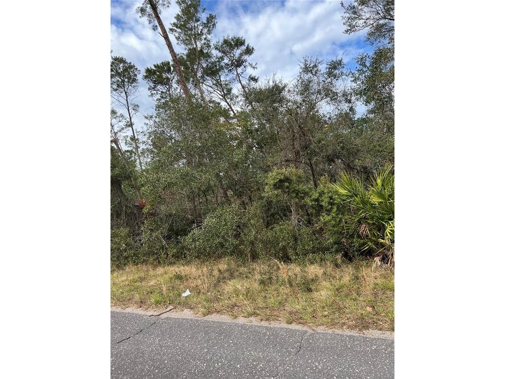 Fishermans Road Paisley FL 32767 O6347276 image2