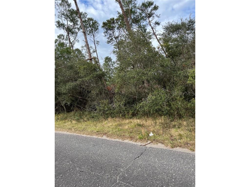 Fishermans Road Paisley FL 32767 O6347276 image3