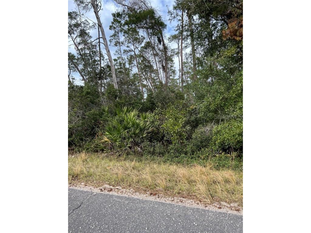 Fishermans Road Paisley FL 32767 O6347276 image4