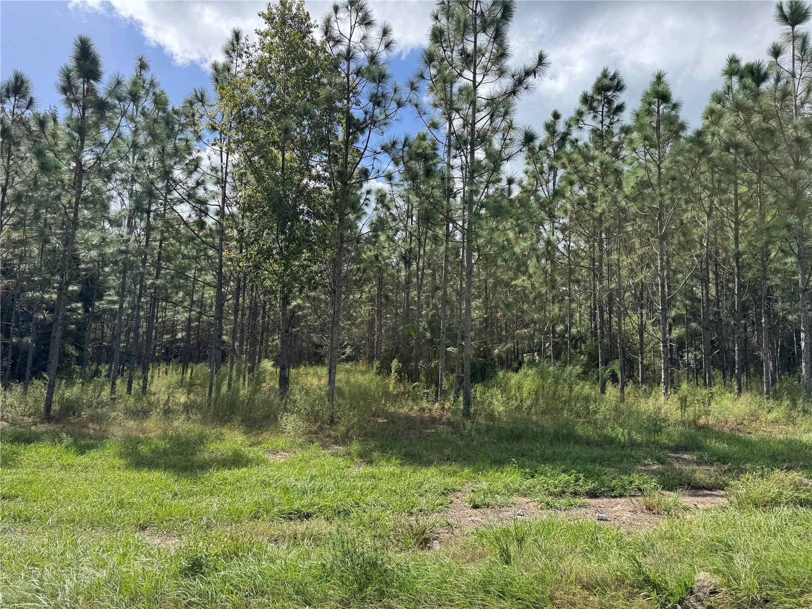 Fishermans Road Paisley FL 32767 P4937735 image7