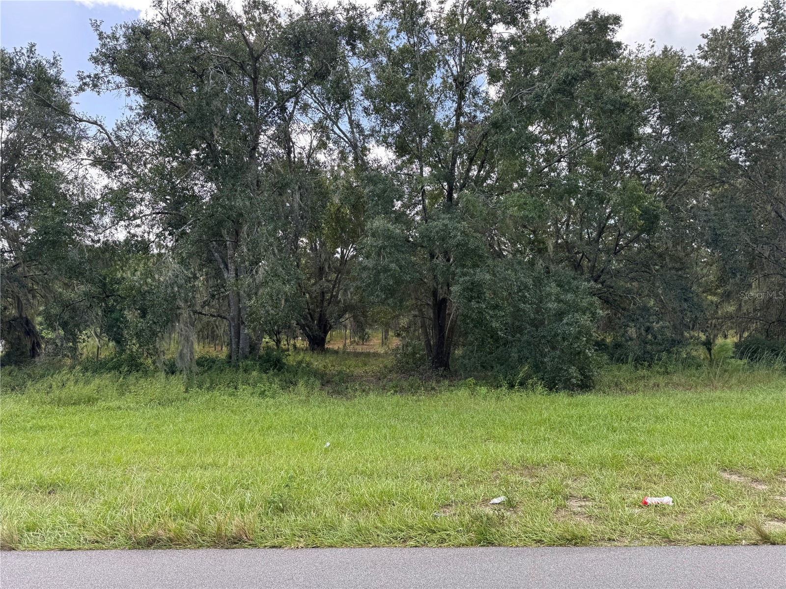 Fishermans Road Paisley FL 32767 P4937735 image8