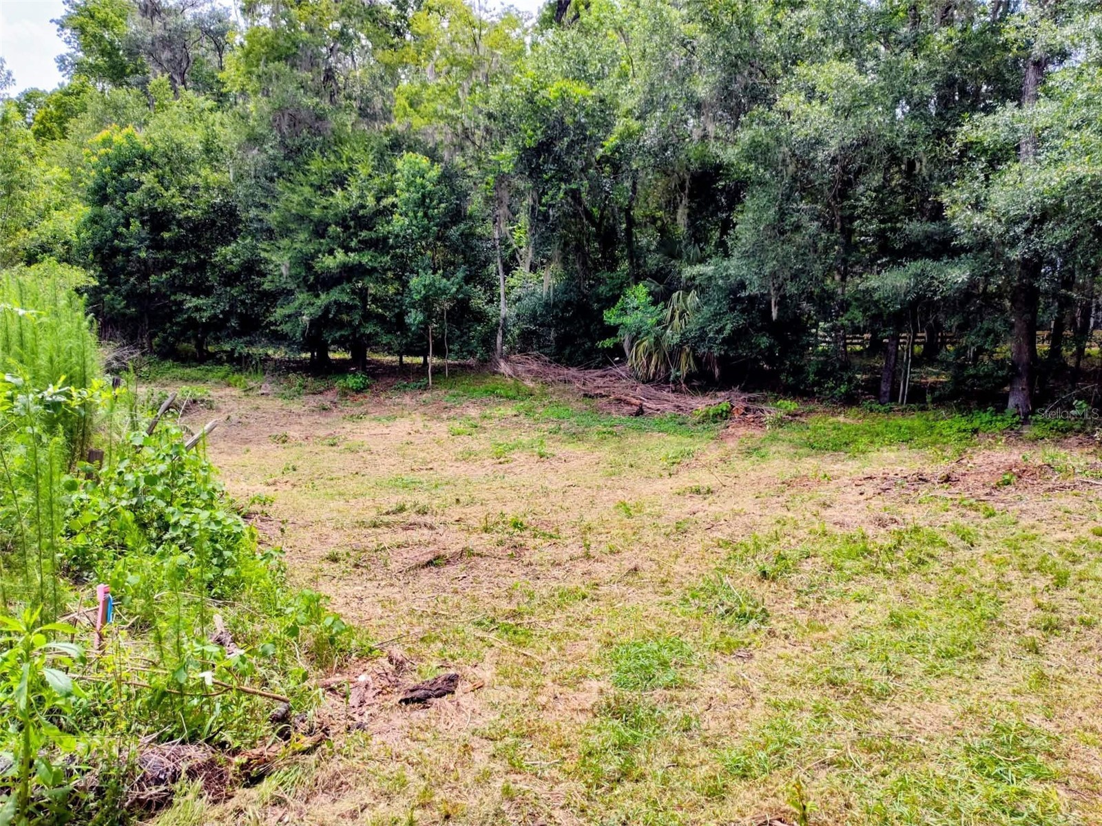 Fitzhugh Avenue Brooksville FL 34601 TB8517899 image10