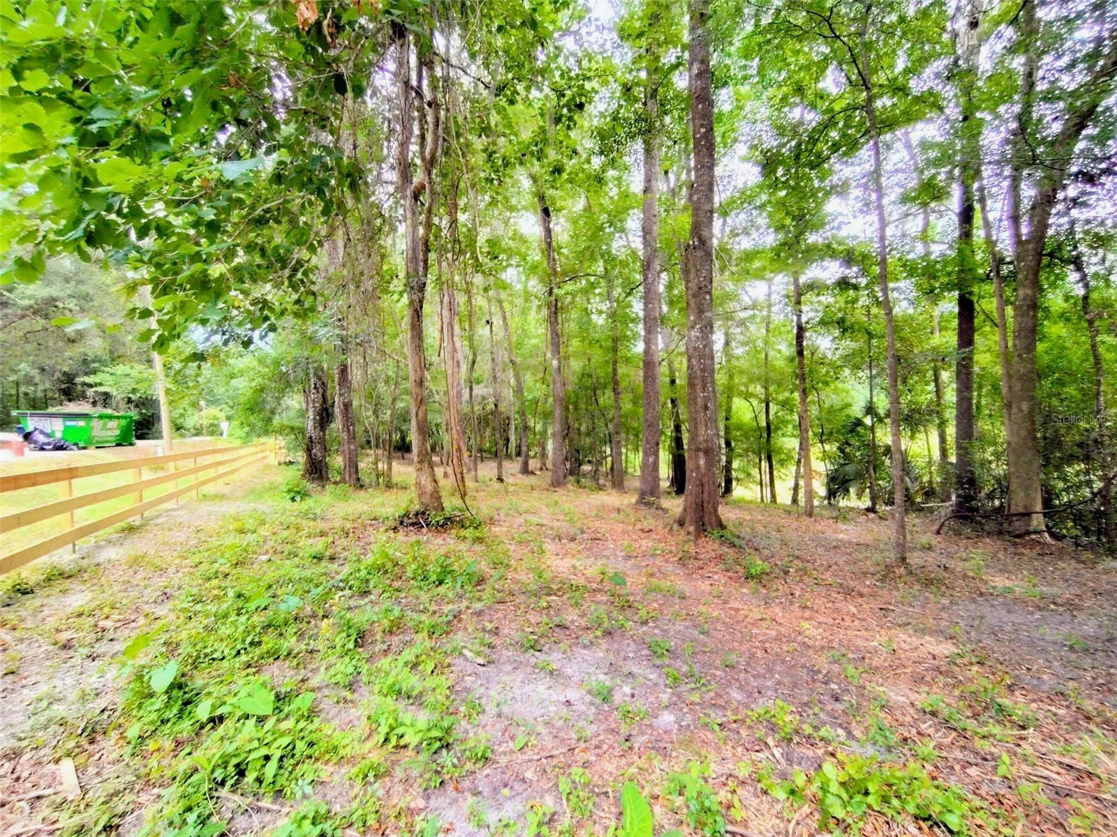 Fitzhugh Avenue Brooksville FL 34601 TB8517899 image11