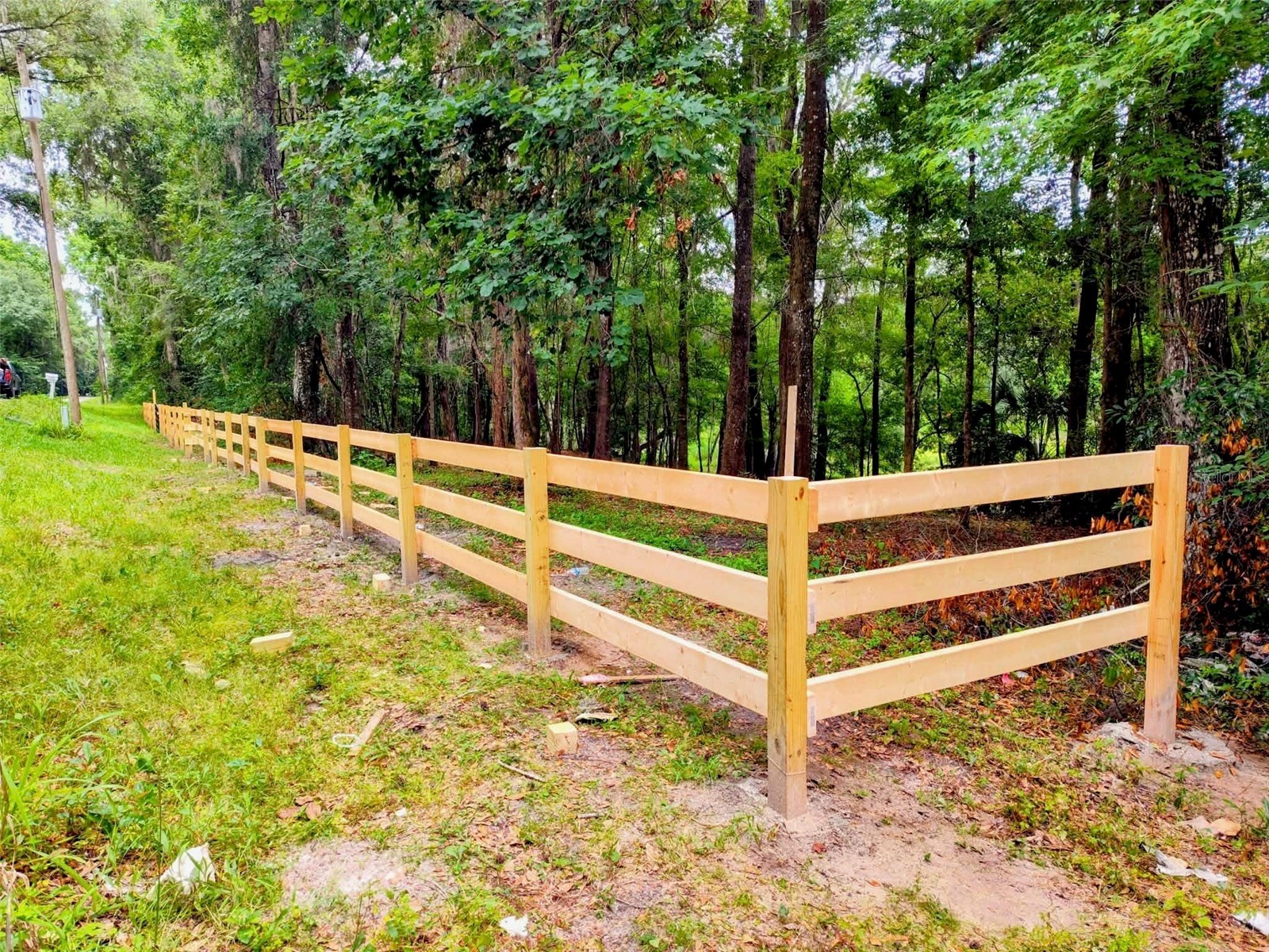 Fitzhugh Avenue Brooksville FL 34601 TB8517899 image13