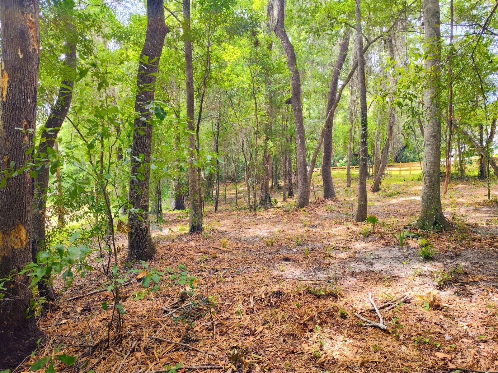 Fitzhugh Avenue Brooksville FL 34601 TB8517899 image16