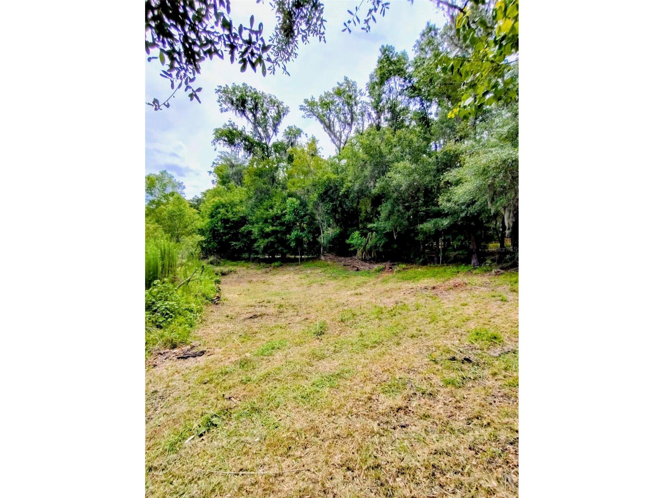 Fitzhugh Avenue Brooksville FL 34601 TB8517899 image2