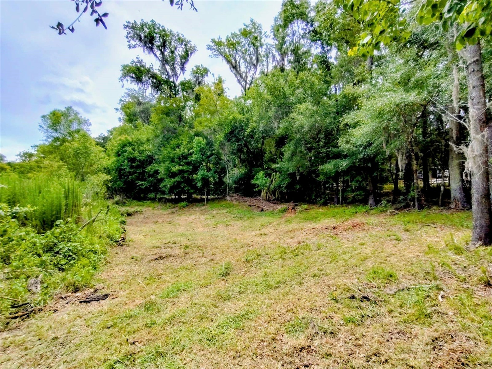 Fitzhugh Avenue Brooksville FL 34601 TB8517899 image7